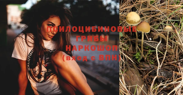 спиды Абинск