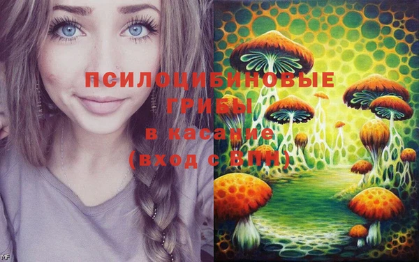 спиды Абинск