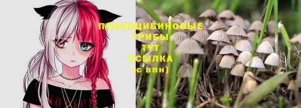гашик Абдулино