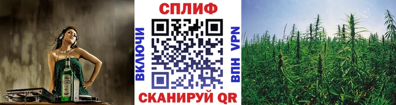 Конопля сатива  наркотики  Ишимбай 